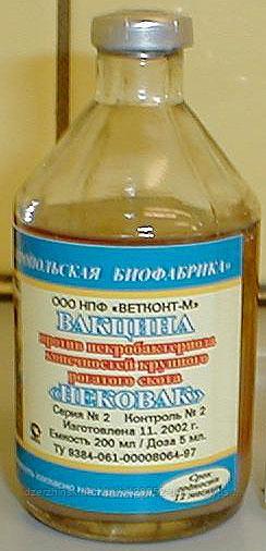 НЕКОВАК