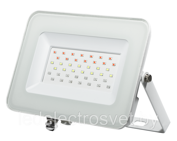 Светодиодный прожектор PFL- 10W/ RGB-RC/GR    Прожектор светодиодный