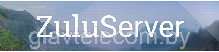  Web службы ZuluServer 8.0 