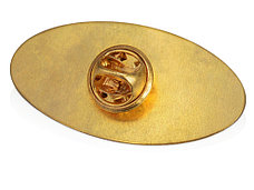 Значок металлический Овал, золотистый, фото 2
