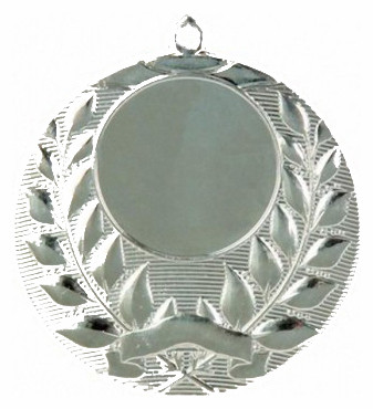 Медали 50 мм Викинг Спорт Медаль сувенирная MMC1750 - фото 2 - id-p41815243