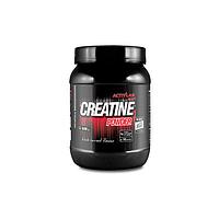 Креатин ActivLAB Creatine Powder 600 гр.