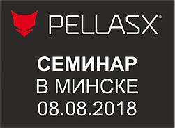 PellasX - семинар в Минске