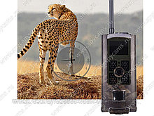 Фотоловушка Suntek «Сова HC-700M» Филин HC-700М оповещение на электронную почту и телефон