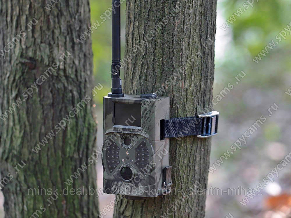 Фотоловушка 3G MMS Фотоловушка Suntek «Сова HC-350G» оповещение на электронную почту и телефон - фото 2 - id-p81217935