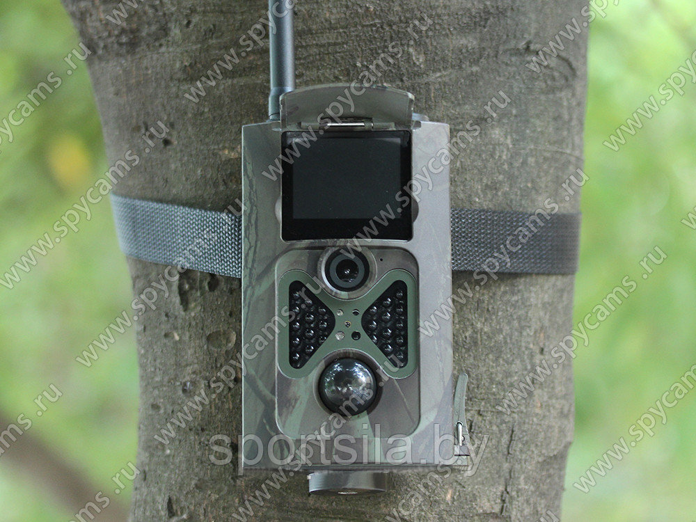 Фотоловушка Фотоловушка Suntek «Сова HC-550G» оповещение на электронную почту и телефон новинка 2018