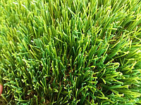 Трава искусственная Deco ворс 35 мм. (ширина 2 и 4 м.)