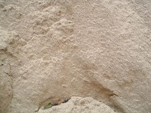 Песок сеянный в Минске