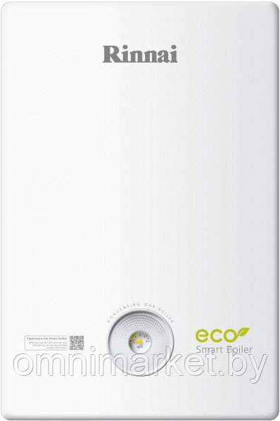 Газовый котел Rinnai BR-C30 (RB 277 CMF)