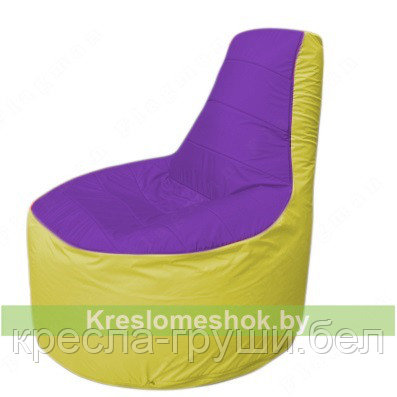 Кресло мешок Трон Т1.1-1806(фиолетовый-желтый) - фото 1 - id-p80724317