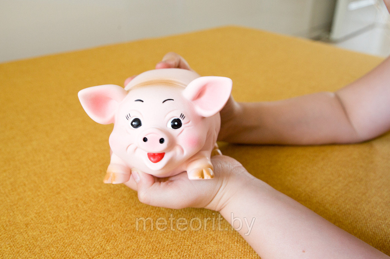 Игрушка резиновая "Свинка" - фото 2 - id-p81381223