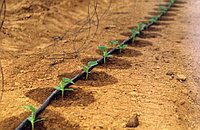 Капельный полив