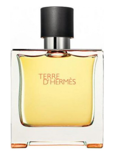 Hermes Terre D'Hermes pour homme parfum 75ml TESTER