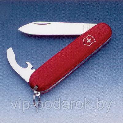 Нож Victorinox ecoline - фото 1 - id-p81620026