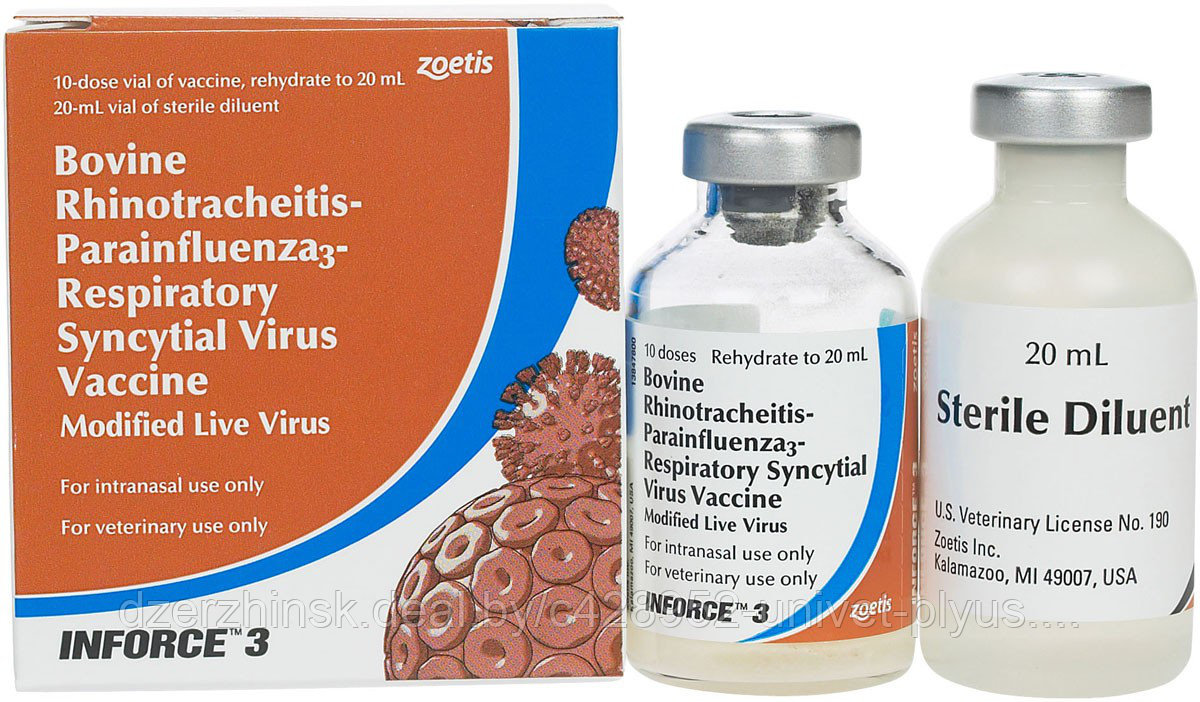 Инфорс 3