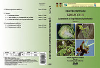 Компакт-диск "Биология. Анатомия и морфология растений"2ч. (6 опытов, 31 мин.) (DVD)