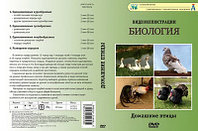 Компакт-диск "Домашние птицы" (8 опытов, 22 мин.)