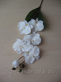 Ветка орхидеи  белая, L= 65см