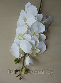 Ветка орхидеи  белая, L= 86см
