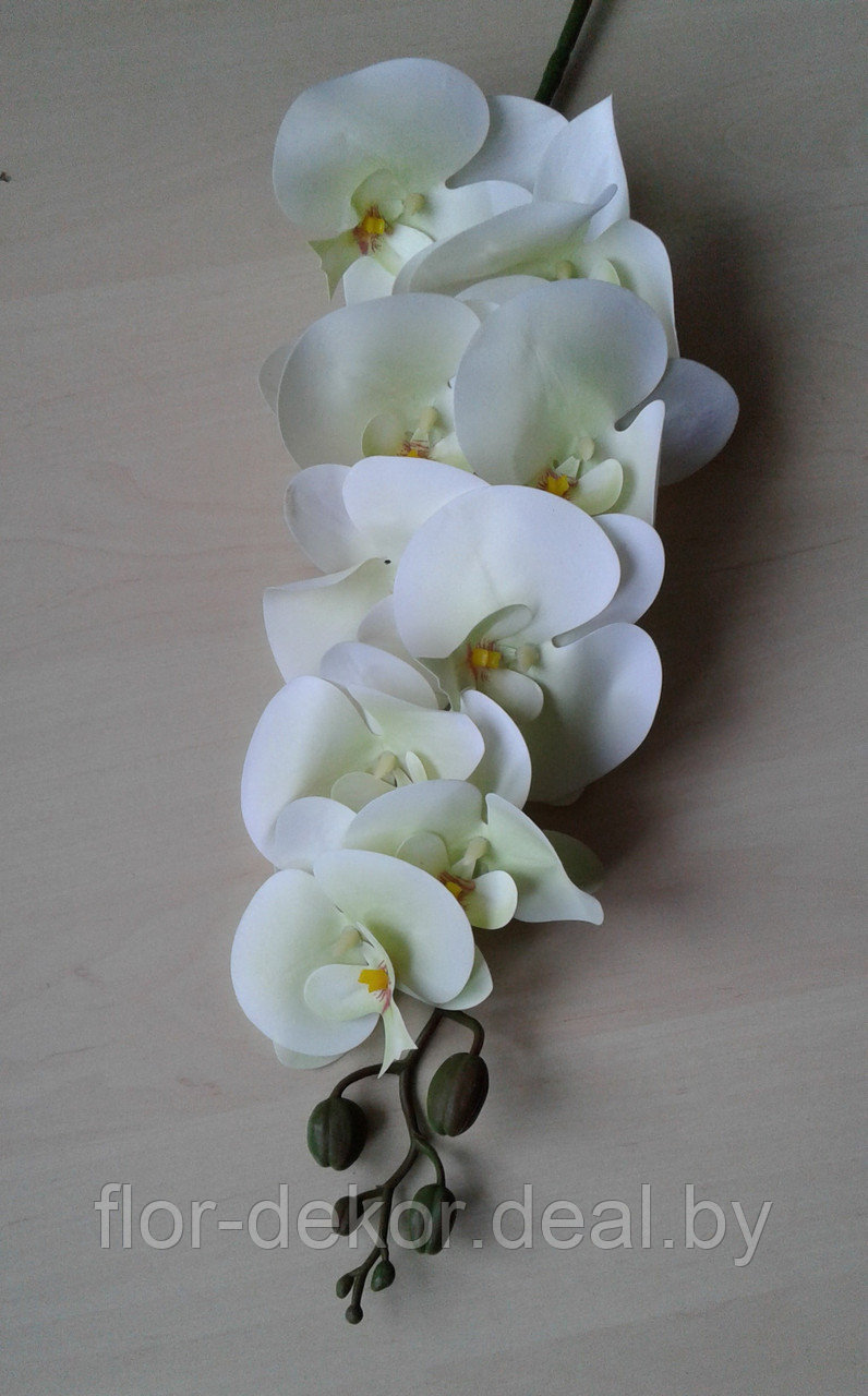 Ветка орхидеи полусиликоновая, H=98см. - фото 1 - id-p81855545