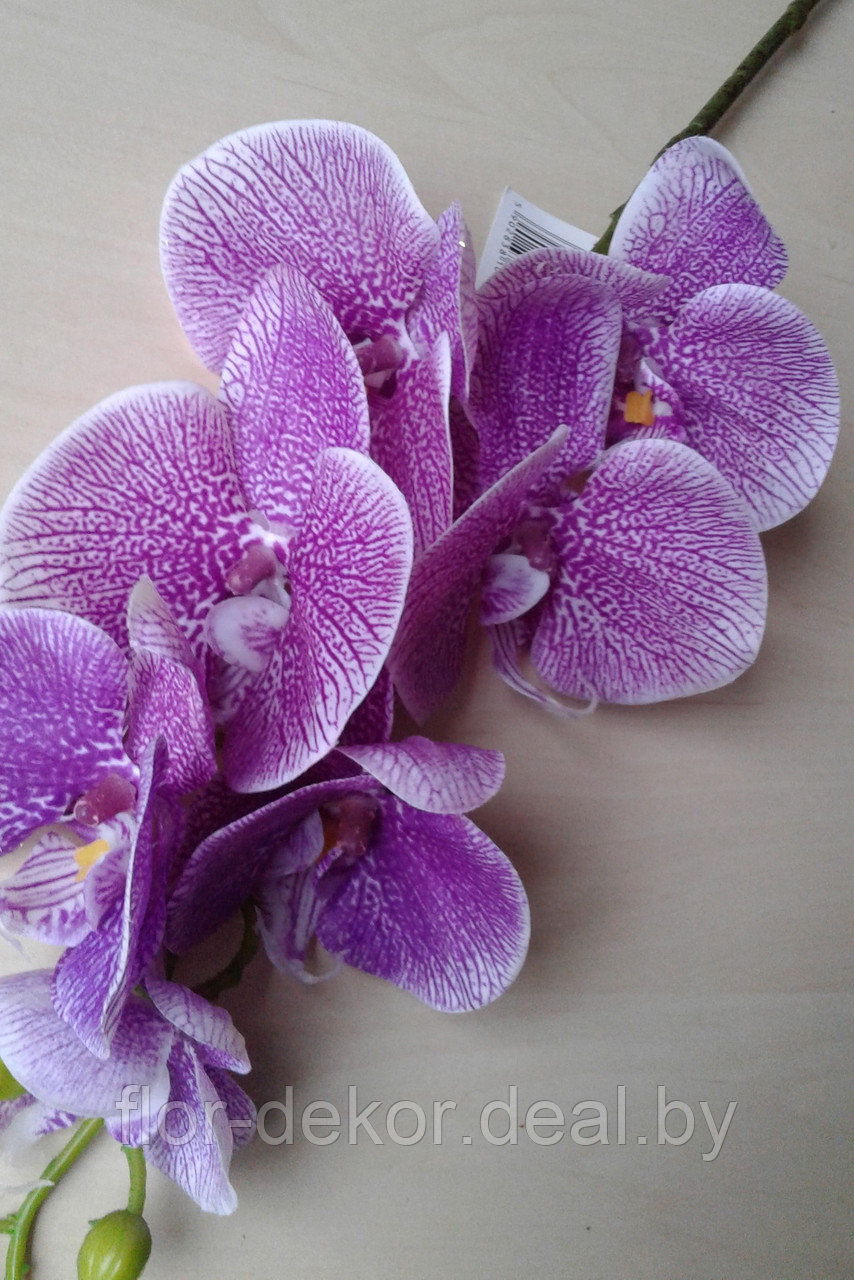 Ветка орхидеи силиконовая, H=86см. - фото 2 - id-p81855620