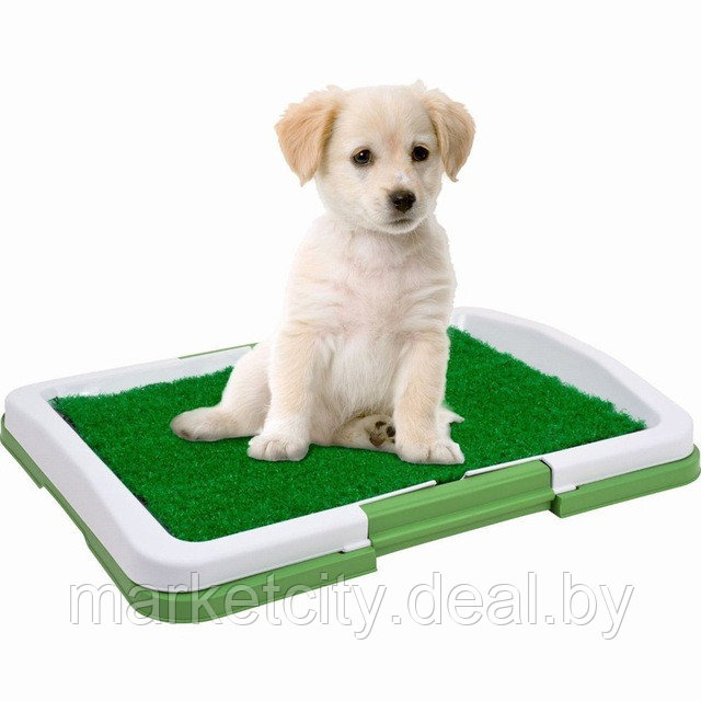 Домашний туалет для собак и кошек Puppy Potty Pad - фото 1 - id-p81860469