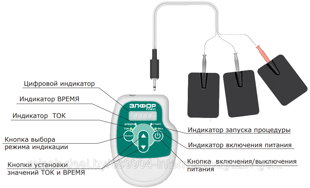 Стоимость Электрофореза В Поликлинике