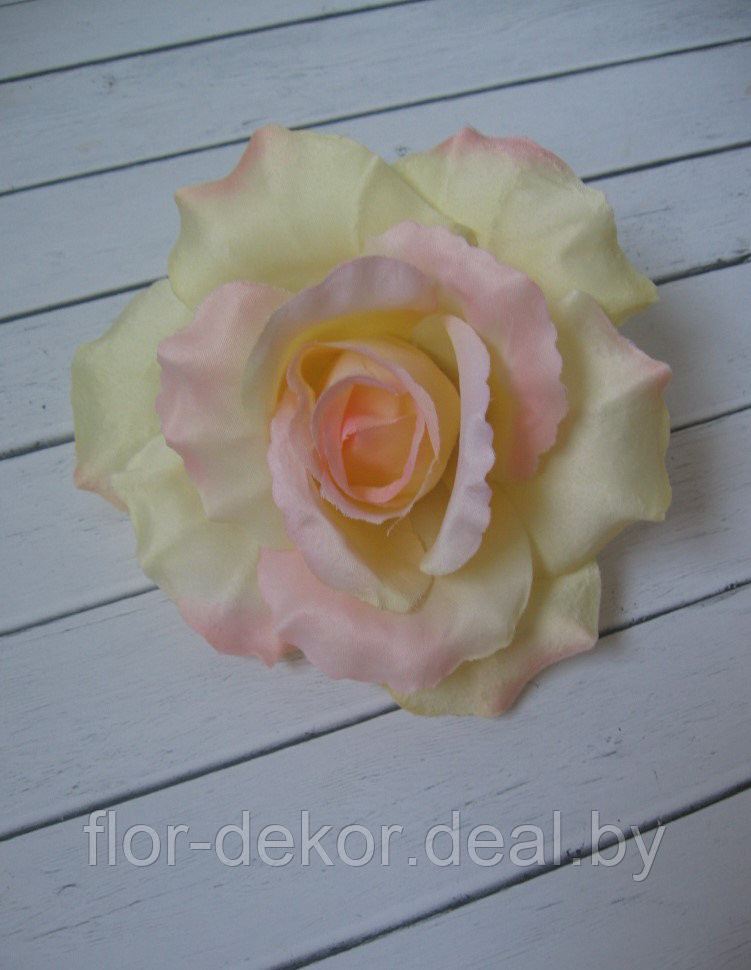 Головка розы кремово-розовая с оттенками , D 13 см.
