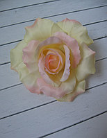Головка розы кремово-розовая с оттенками , D 13 см.
