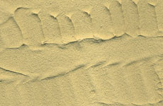 Имитация рельефа пустыни Desert Sand - фото 3 - id-p3950050
