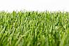Искусственная трава BELIZA 30 мм. (Турция), фото 3