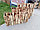 Деревянное кашпо "Забор Миди", фото 2