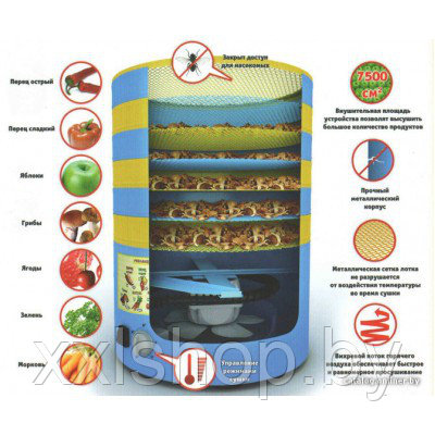 Сушилка для овощей и фруктов Элвин СУ-1 УВЕЛИЧЕННАЯ - фото 10 - id-p69526748