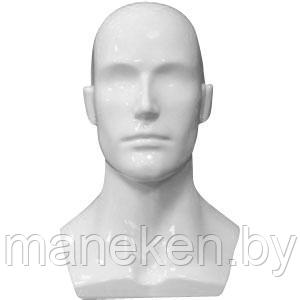 Манекен головы, мужской - фото 1 - id-p82143909