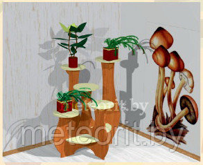 Подцветочница (опята), 800*800*1100