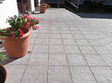 Тротуарная плитка "Черепашка"коричневая 300*300*30 мм, фото 3
