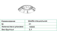 Шайба специальная 31