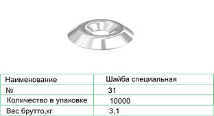 Шайба специальная 31