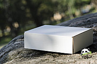 Коробка из гофрокартона 220х165х65 белая, фото 1
