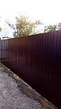 Забор из металлопрофиля, фото 3