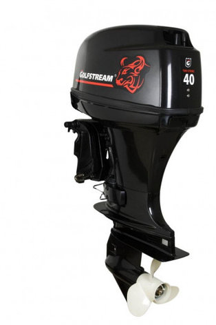 Лодочный мотор GOLFSTREAM T40FWS, фото 2