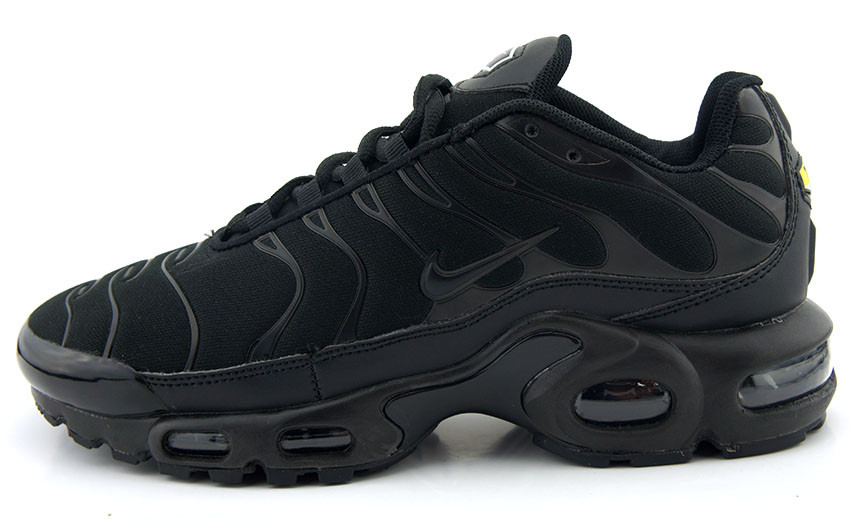 Кроссовки мужские Nike Air Max TN Plus