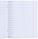 Тетрадь школьная А5, 12 л. на скобе «Гознак Борисов» 170*205 мм, косая линия, светло-зеленая, фото 2