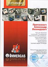Газовый котёл Immergas MINI EOLO 28 3E, фото 2