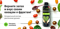 Верните запах и вкус своим овощам и фруктам