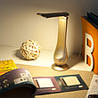 Настольный светодиодный светильник Orbit золотой (TL90420), фото 2
