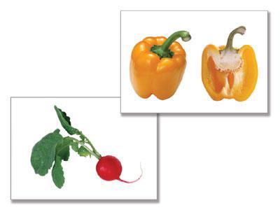 Дидактическое пособие "Овощи" (24 карт., А4, ламинир.) - фото 1 - id-p83161900