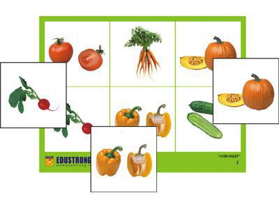 Лото "Овощи" (4 планшета, 24 карт., цвет., ламинир.) - фото 1 - id-p83163451