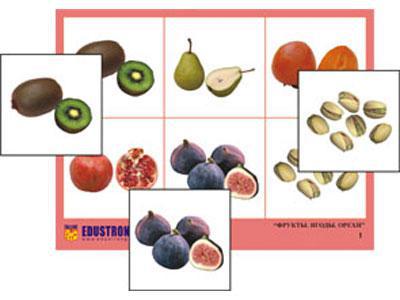 Лото "Фрукты, ягоды, орехи" (4 планшета, 24 карт., цвет., ламинир.) - фото 1 - id-p83163487