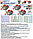 Насос для перекачки топлива,воды, антифриза MARINA 20 на 12В и 24В  (Италия), фото 2
